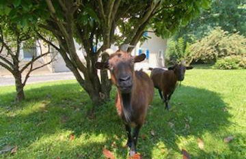 Appartement T3 Goélia - Photo 8