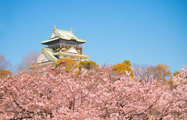 TAKUTO HOTEL Shinsaibashi - Foto 28