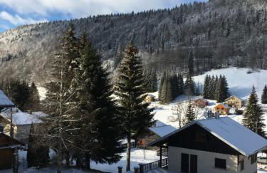 APPARTEMENT DE MONTAGNE - Foto 18