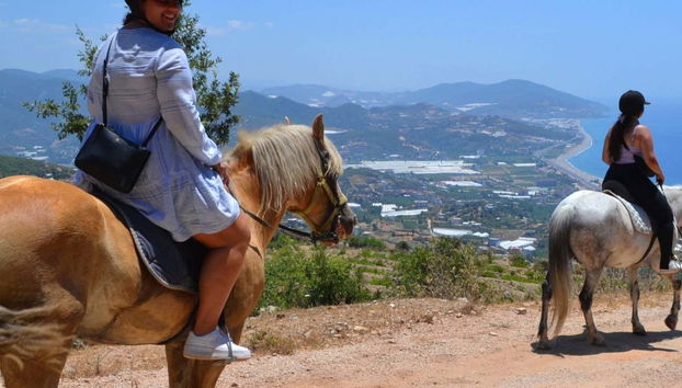 Alanya Mountains Horseback Ride