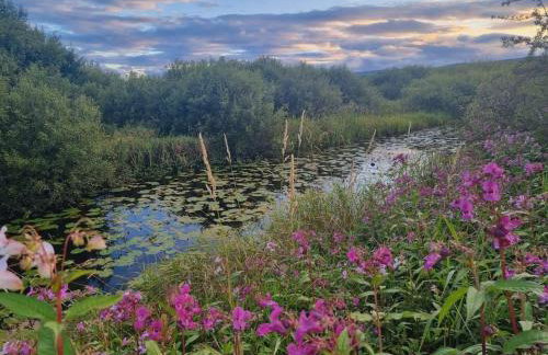 2 Bedroom Sleeps 4 Lodge-smart Tv-hot Tub-dogs Ok - Foto 50