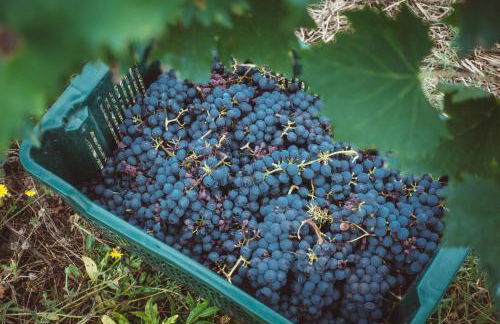 Villa Lena - Foto 63