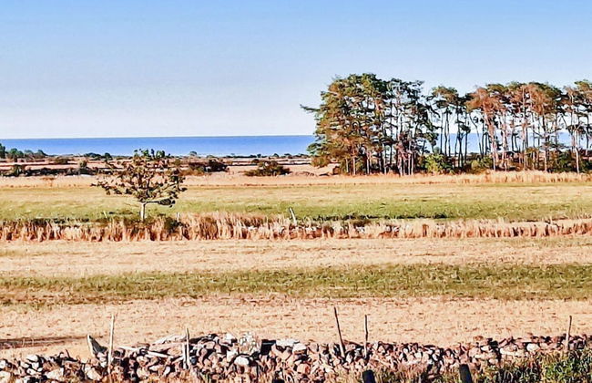 4 Person Holiday Home in Borgholm - Foto 7