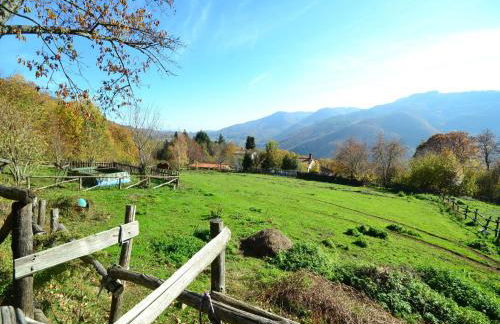 Tranquil Stone Chalet - Foto 24