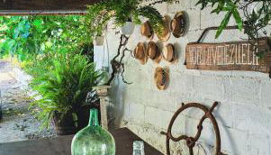 Finca Mamposo - Foto 3