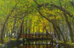 Visitar Bioucas II - Casa Tradicional Familiar - Foto 22