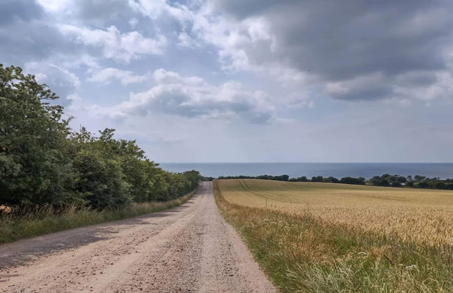 4 Person Holiday Home in Store Fuglede - Foto 34