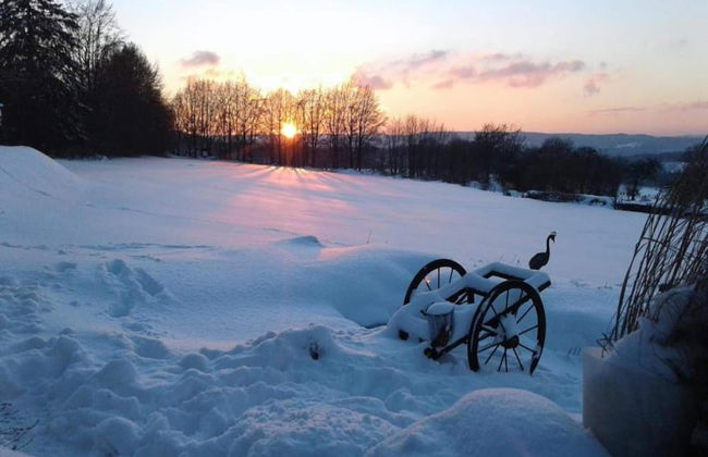 Gite in Ardennes With Sauna and Rural Views - Photo 28