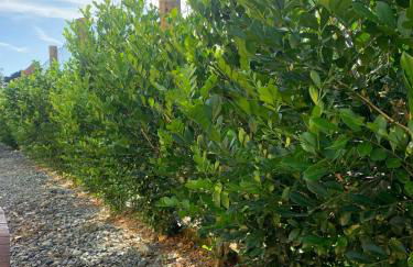 Casa com Piscina para Casais ou Familias - Foto 5