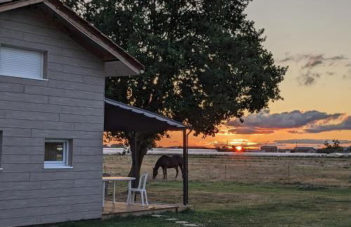 Le Petit chalet - 2 étoiles au classement tourisme - Foto 11