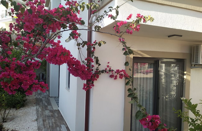 Kas Sanisu Pansiyon - Photo 78