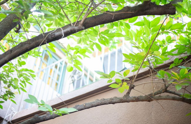 Veranda House on Samreklo 25 - Foto 23