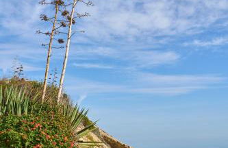 Apartamentos Venta Lanuza, El Campello - Photo 7