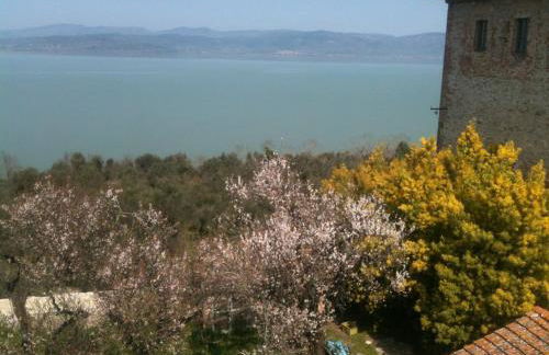 Ascanio Appartamenti - Foto 14