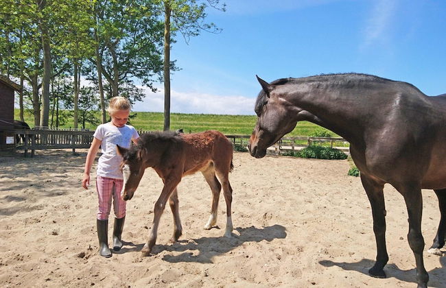 Detached Holiday Home With Garden Near Hoorn - Foto 16