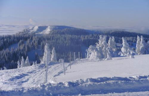 Haus Aretz - Foto 32