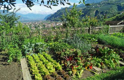 Glögglhof - Foto 16