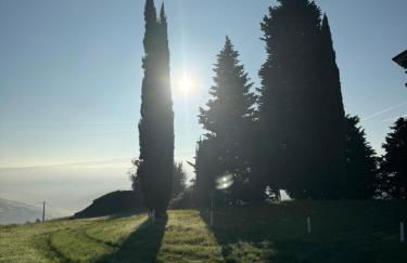 La corte dei celti -10 - Foto 42