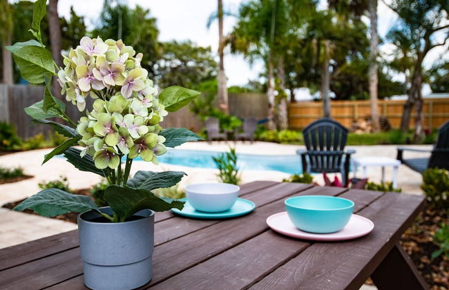 The Island Oasis - Photo 3