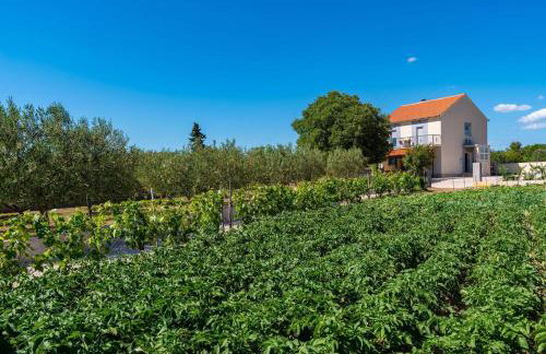 MY DALMATIA - Holiday home Maria with private swimming pool - Foto 11