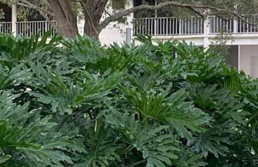 Golf Coast Charmer - Foto 35