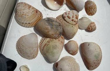 Classic Floridian Oasis w/Pool - Foto 39