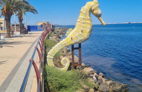 Palmerita 5 - Foto 16