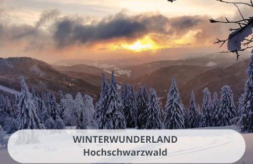 FeWo Schwarzwaldschick Feldberg I Direkt an der Piste I Whirlwanne I Tiefgarage I Skipass vergünstigt - Foto 62