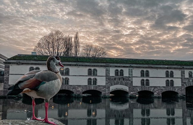 Strasbourg: Food Tour and Old Town Walk - Photo 10