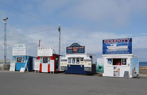 Puffin Cottage - Photo 9