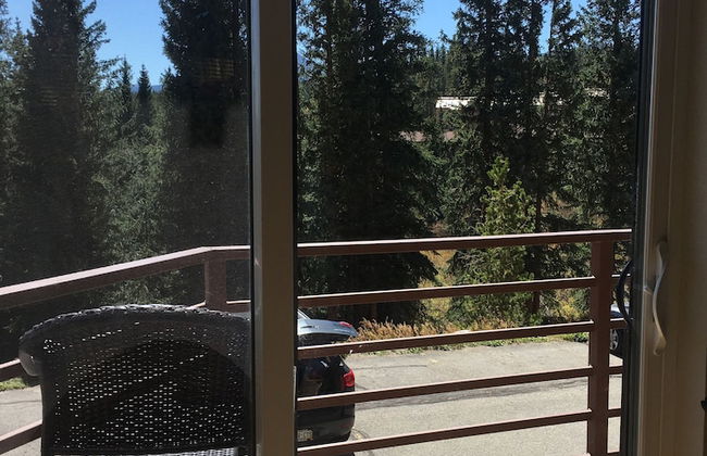 Buffalo Ridge - Unit B104 - Foto 14