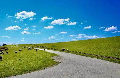 NORDSEE Bauernhof Familie Wulff FeWo "Südfall" - Foto 34