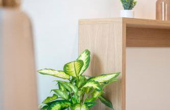 Unicos City Suites - Photo 32