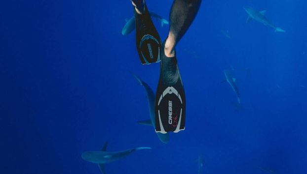 Maafushi Beginners Diving Lesson - Foto 4