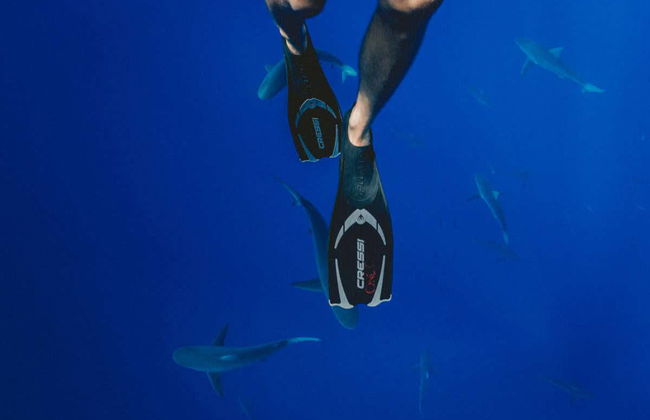 Bautismo de buceo en Maafushi - Foto 4