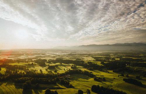 Mächlerhof - Foto 48