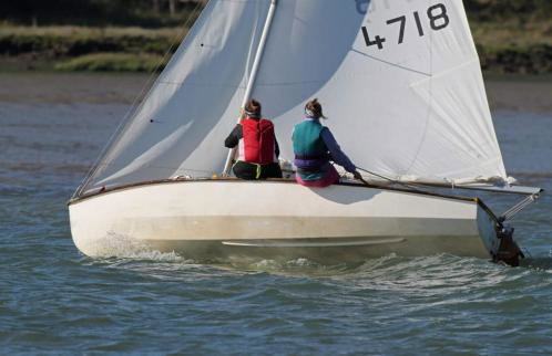 Dog friendly cottage on the edge of the Norfolk Broads - Foto 78