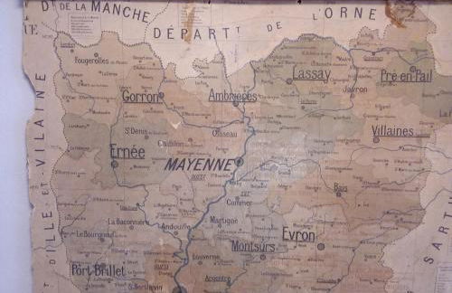 L'Orchidée - Photo 3