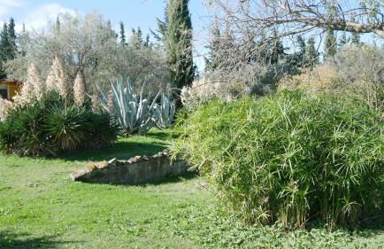 MAS MAURANE-Le Platane avec SPA privé aux portes d'ARLES - Foto 65