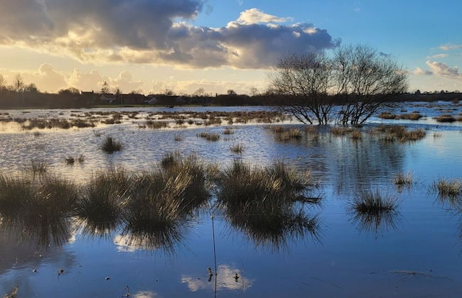 Entre Ciel et Marais - Foto 37