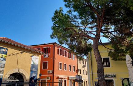 Old Harbour - Photo 8