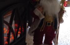 Butterflies Rest - Foto 53