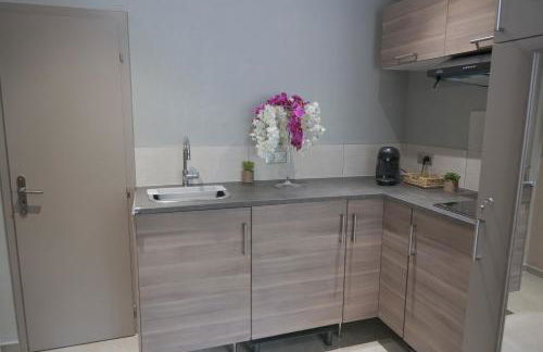 Nid à bulles - Loft 35m2 sauna jacuzzi 10min centre Strasbourg - Foto 29