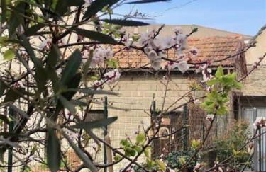 Giuditta FreeCarPark&Garden - Photo 32