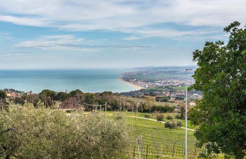 S294 - Sirolo, meraviglioso trilocale con terrazzo e vista mare - Foto 1