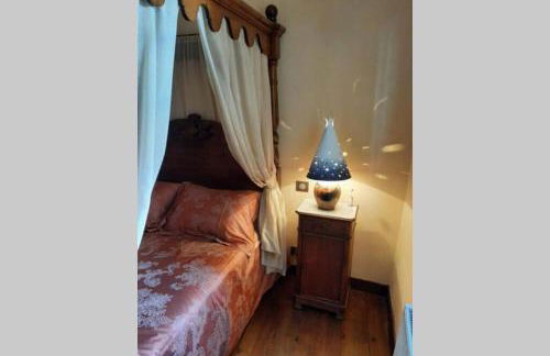 MAISON DE NOSTRADAMUS*** OCCITANIE INSOLITE - Foto 48