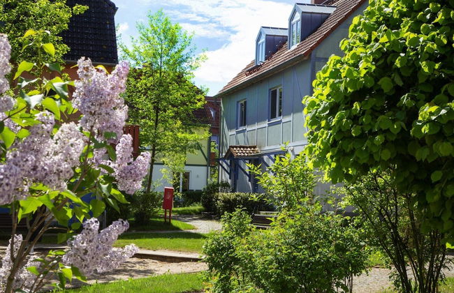 1 bedroom Apartment in Göhren-Lebbin with swimming pool and garden - Photo 45