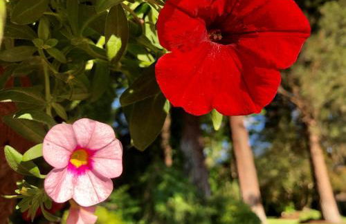 The Base Camp - Foto 29