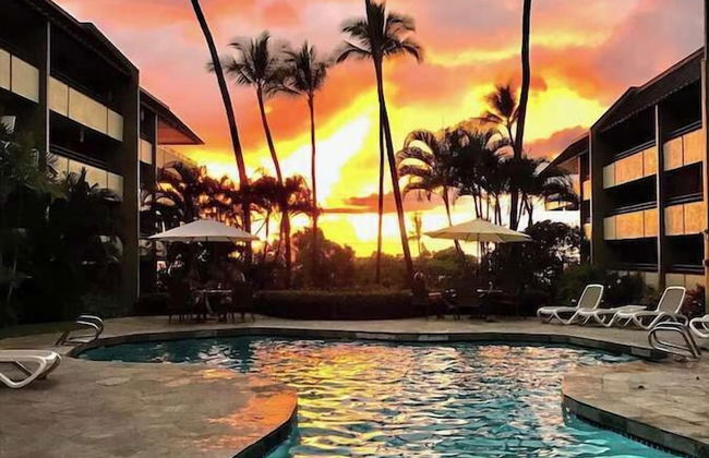 White Sands Village 214 Modern Condo for 4 w/ Enviable Ocean Views! - Photo 24