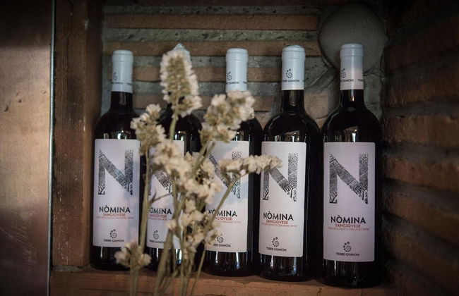 Agricola casa cucina bottega - Photo 33